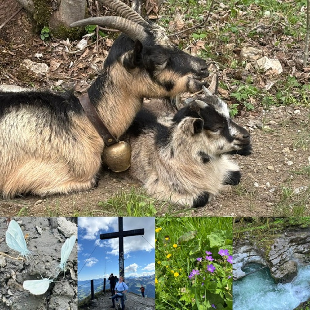 Christlessee