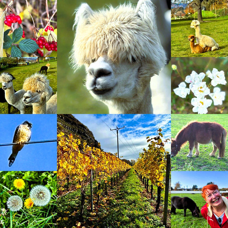 Unkel Gerhardswinkel